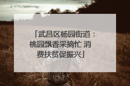 武昌区杨园街道：桃园飘香采摘忙 消费扶贫促振兴