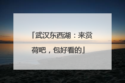 武汉东西湖：来赏荷吧，包好看的