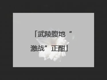 武陵腹地“激战”正酣
