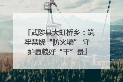 武陟县大虹桥乡：筑牢禁烧“防火墙” 守护夏粮好“丰”景