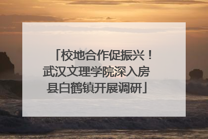 校地合作促振兴！武汉文理学院深入房县白鹤镇开展调研