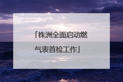 株洲全面启动燃气表首检工作