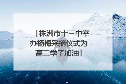 株洲市十三中举办杨梅采摘仪式为高三学子加油