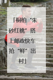 桐柏“朱砂红桃”搭上邮政快车抢“鲜”出村