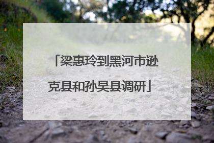 梁惠玲到黑河市逊克县和孙吴县调研
