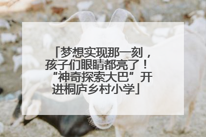 梦想实现那一刻，孩子们眼睛都亮了！“神奇探索大巴”开进桐庐乡村小学