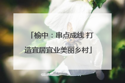 榆中：串点成线 打造宜居宜业美丽乡村