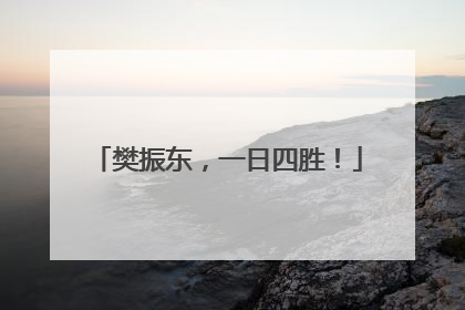 樊振东，一日四胜！