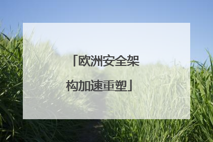 欧洲安全架构加速重塑
