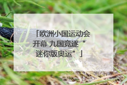 欧洲小国运动会开幕 九国竞逐“迷你版奥运”