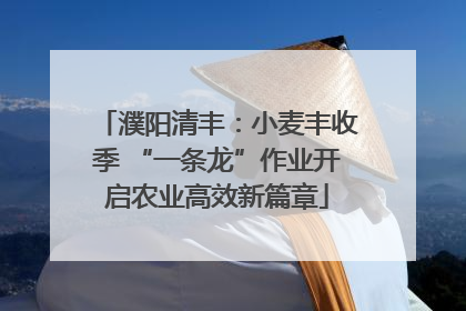 濮阳清丰：小麦丰收季 “一条龙”作业开启农业高效新篇章