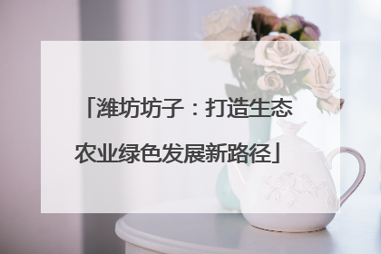 潍坊坊子：打造生态农业绿色发展新路径