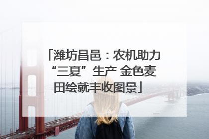 潍坊昌邑：农机助力“三夏”生产 金色麦田绘就丰收图景
