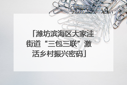 潍坊滨海区大家洼街道“三包三联”激活乡村振兴密码