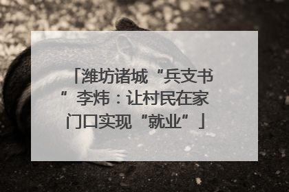 潍坊诸城“兵支书”李炜：让村民在家门口实现“就业”