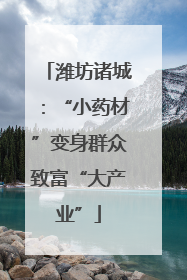 潍坊诸城：“小药材”变身群众致富“大产业”
