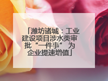 潍坊诸城：工业建设项目涉水类审批“一件事” 为企业提速增值
