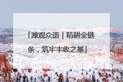 潍观众语｜精耕全链条，筑牢丰收之基
