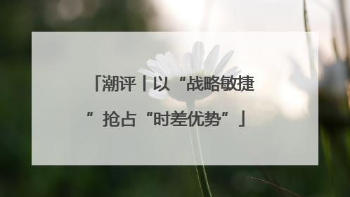 潮评丨以“战略敏捷”抢占“时差优势”