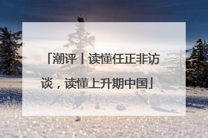 潮评丨读懂任正非访谈，读懂上升期中国