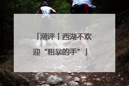 潮评丨西湖不欢迎“粗暴的手”