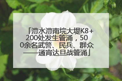 澧水澧南垸大堤K8+200处发生管涌，500余名武警、民兵、群众——通宵达旦战管涌