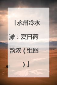 永州冷水滩：夏日荷韵浓（组图）