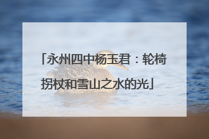 永州四中杨玉君：轮椅拐杖和雪山之水的光