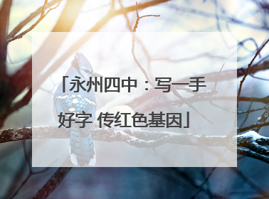 永州四中：写一手好字 传红色基因