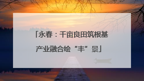 永春：千亩良田筑根基 产业融合绘“丰”景