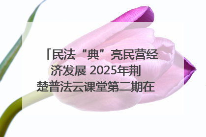 民法“典”亮民营经济发展 2025年荆楚普法云课堂第二期在武汉客厅开讲