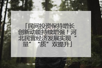 民间投资保持增长 创新动能持续增强！河北民营经济发展实现“量”“质”双提升