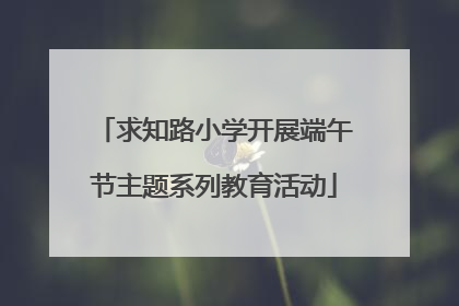 求知路小学开展端午节主题系列教育活动