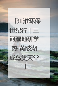 江淮环保世纪行｜三河湿地研学热 黄陂湖成鸟类天堂
