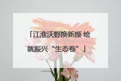 江淮沃野焕新颜 绘就振兴“生态卷”