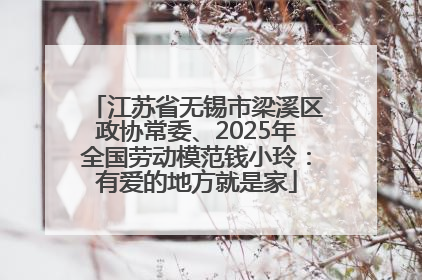 江苏省无锡市梁溪区政协常委、2025年全国劳动模范钱小玲：有爱的地方就是家