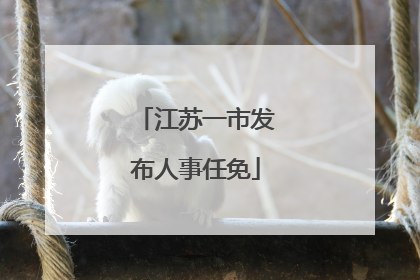 江苏一市发布人事任免