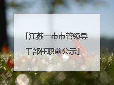 江苏一市市管领导干部任职前公示