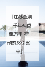 江苏金湖：千年藕香飘万里 荷韵悠悠引客来