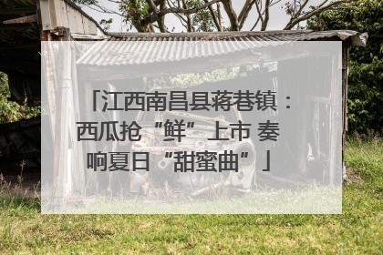 江西南昌县蒋巷镇：西瓜抢“鲜”上市 奏响夏日“甜蜜曲”