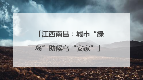 江西南昌：城市“绿岛”助候鸟“安家”