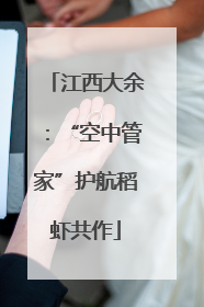 江西大余：“空中管家”护航稻虾共作
