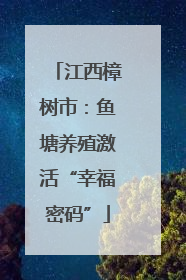 江西樟树市：鱼塘养殖激活“幸福密码”