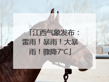 江西气象发布：雷雨！暴雨！大暴雨！骤降7℃