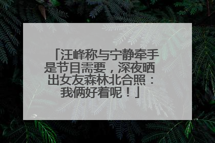 汪峰称与宁静牵手是节目需要，深夜晒出女友森林北合照：我俩好着呢！