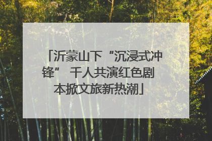 沂蒙山下“沉浸式冲锋” 千人共演红色剧本掀文旅新热潮