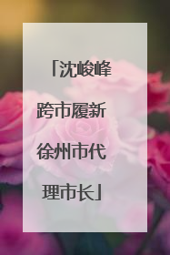 沈峻峰跨市履新徐州市代理市长