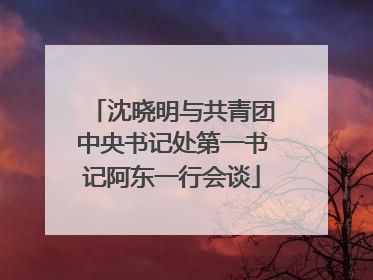 沈晓明与共青团中央书记处第一书记阿东一行会谈