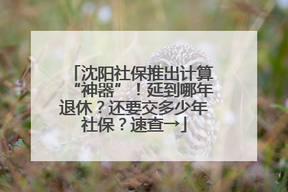 沈阳社保推出计算“神器”！延到哪年退休？还要交多少年社保？速查→