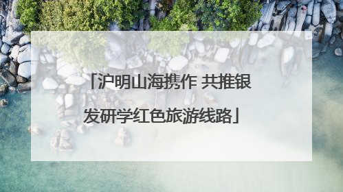 沪明山海携作 共推银发研学红色旅游线路